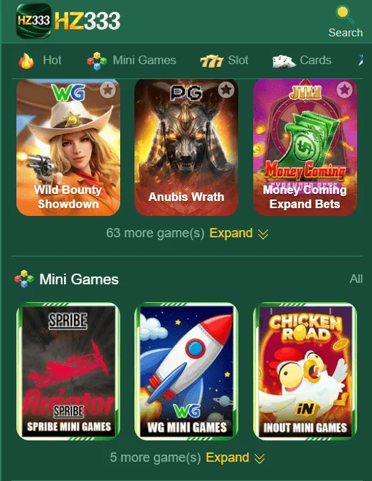 HZ333 Game