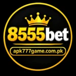 8555VIP Game