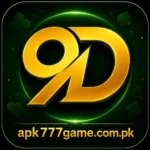 9D Game