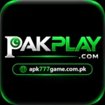 PakPlay Game