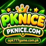 PKNice Game