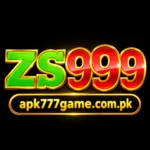 ZS999 Game