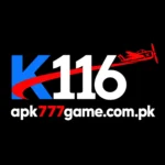 K116 Game